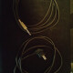 Workingman's 1x15T Workingman's 1x15T