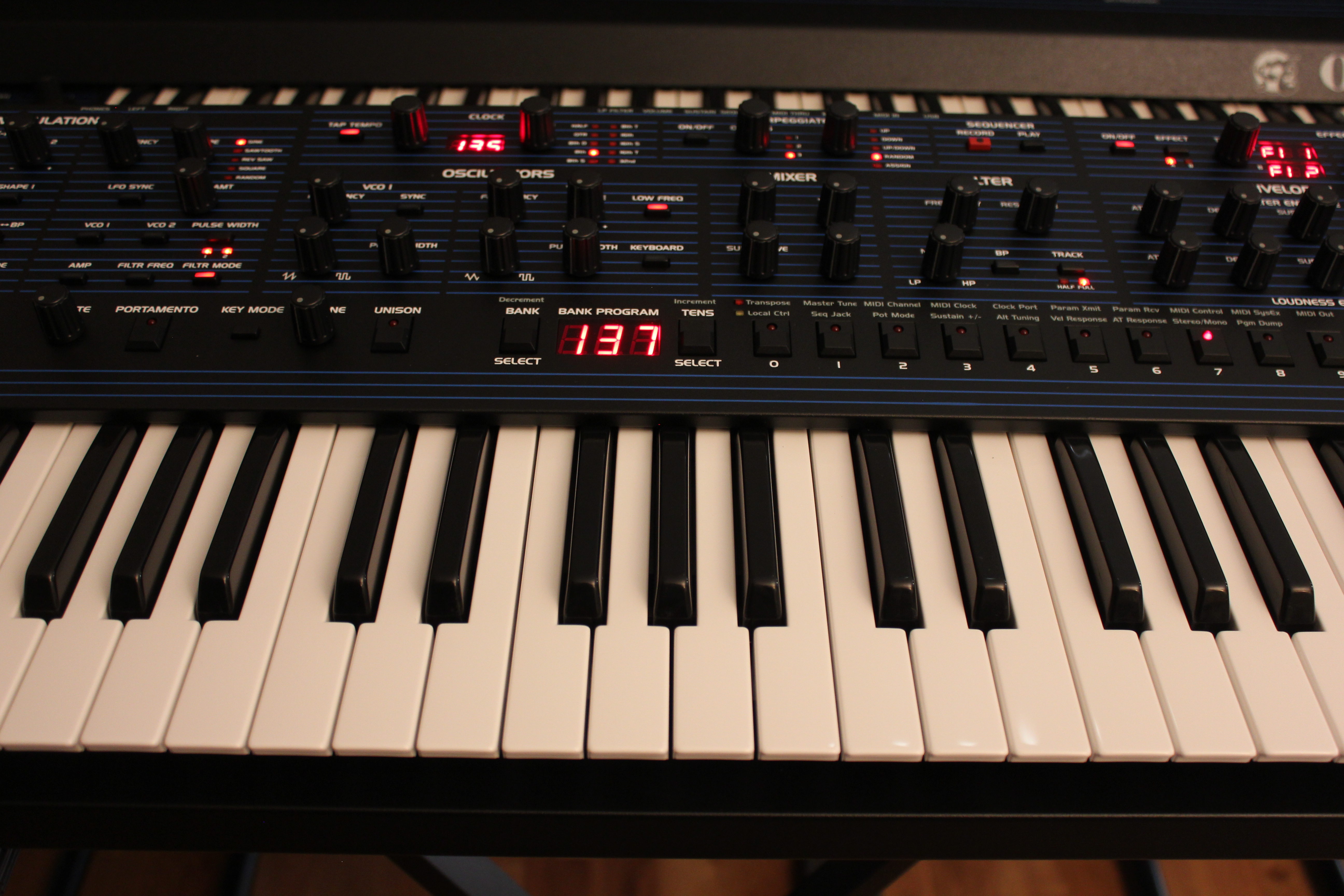 Dave Smith Instruments OB-6 : OB 6 12.JPG