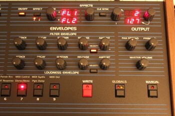 Dave Smith Instruments OB-6 : OB 6 17.JPG Dave Smith Instruments OB-6 : OB 6 17.JPG