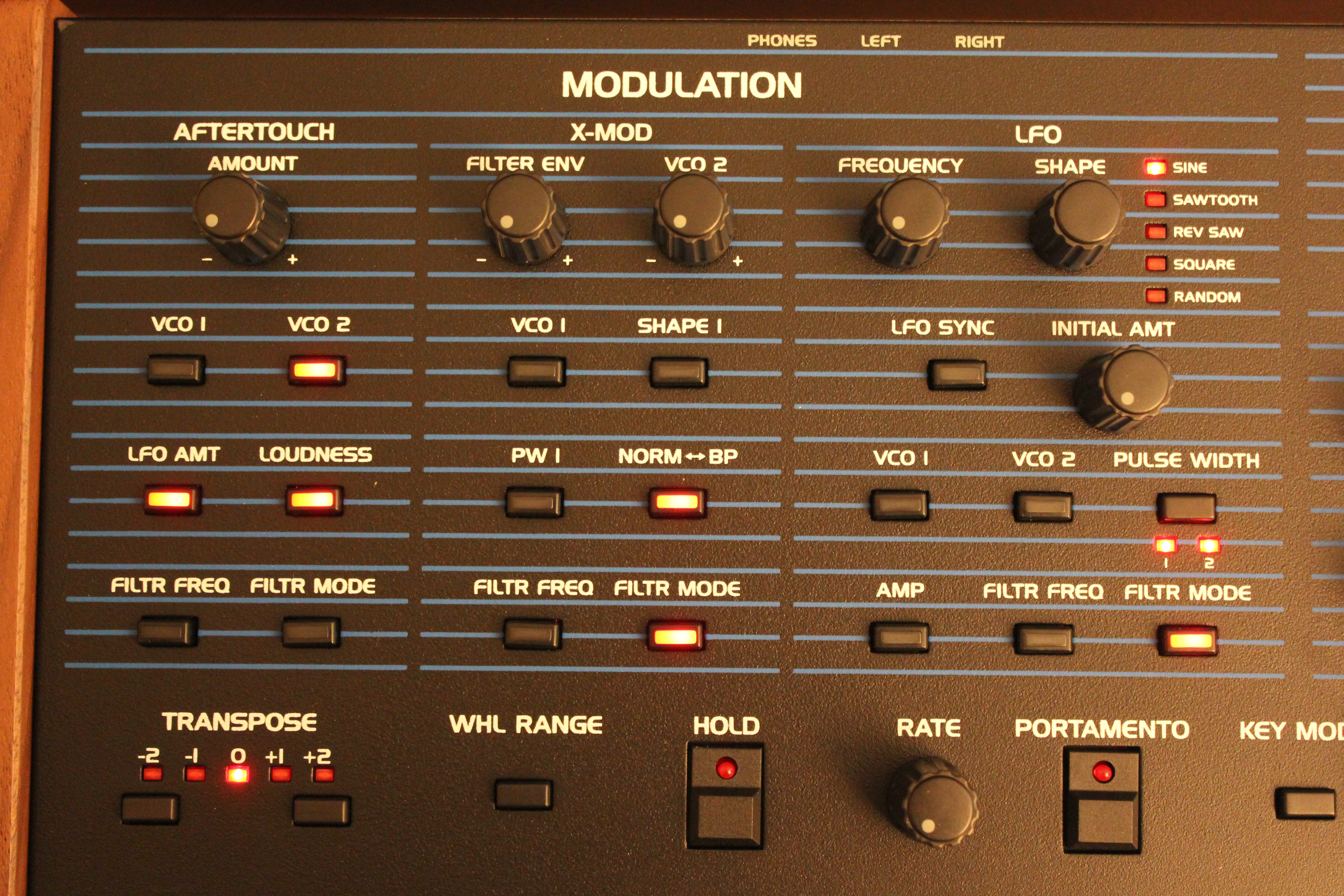 Dave Smith Instruments OB-6 : OB 6 21.JPG