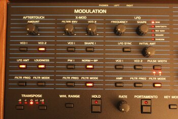 Dave Smith Instruments OB-6 : OB 6 21.JPG Dave Smith Instruments OB-6 : OB 6 21.JPG