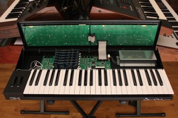 Dave Smith Instruments OB-6 : OB 6 40.JPG Dave Smith Instruments OB-6 : OB 6 40.JPG