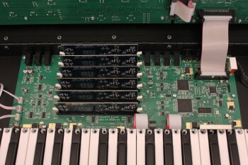 Dave Smith Instruments OB-6 : OB 6 41.JPG Dave Smith Instruments OB-6 : OB 6 41.JPG