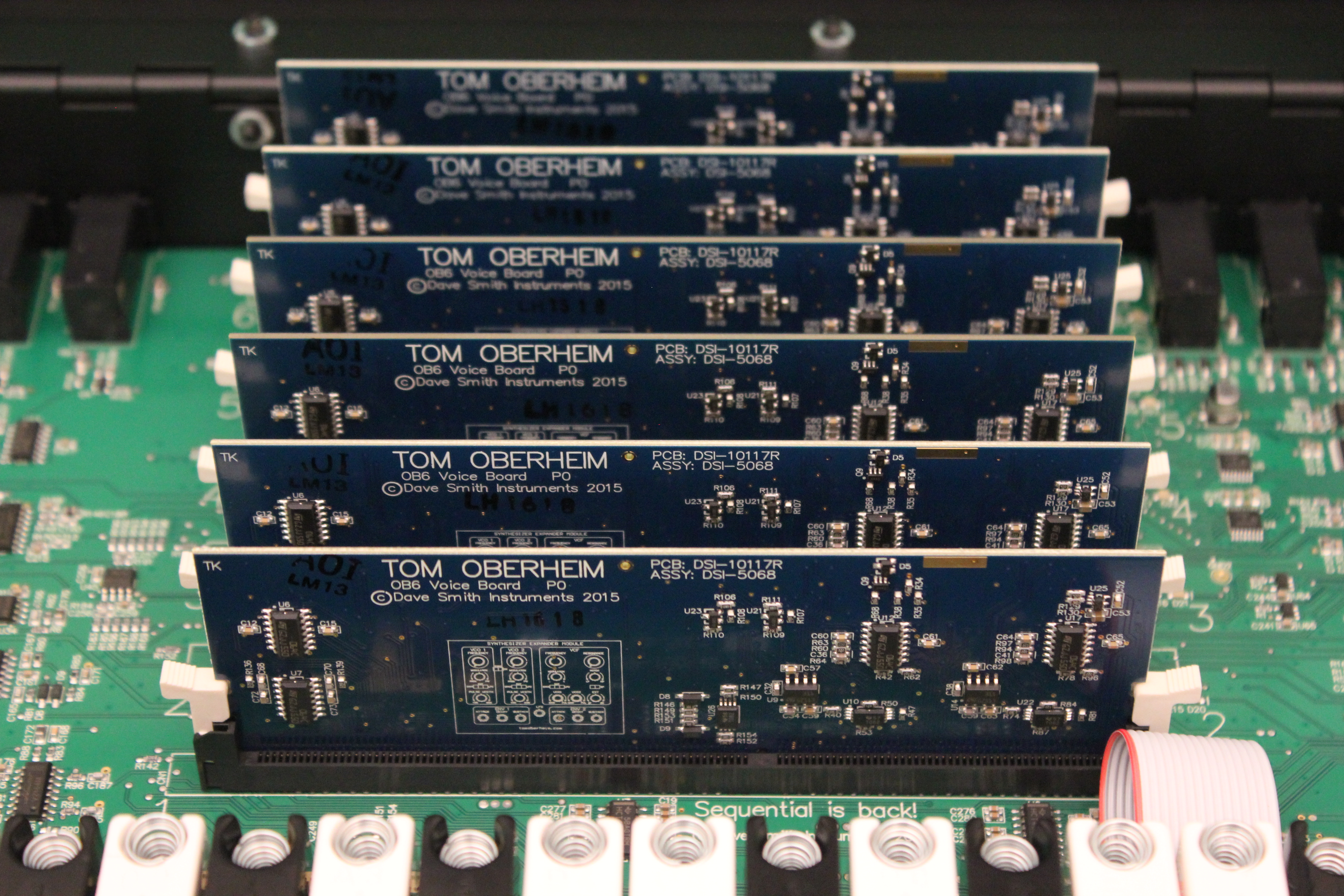 Dave Smith Instruments OB-6 : OB 6 42.JPG