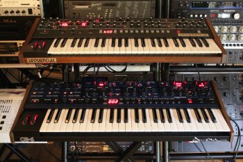 Dave Smith Instruments OB-6 : OB 6 50.JPG Dave Smith Instruments OB-6 : OB 6 50.JPG