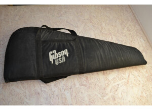Gibson BluesHawk (57367)