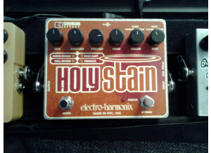 Electro-Harmonix Holy Stain (51641)