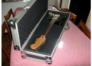Fender Standard Roland Ready Stratocaster [?-2005] (35547)