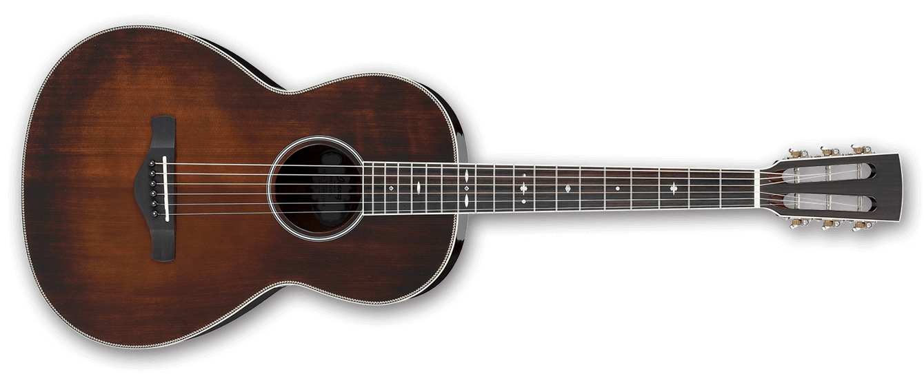 Ibanez AVN10 : AVN10 BVS 1X 01