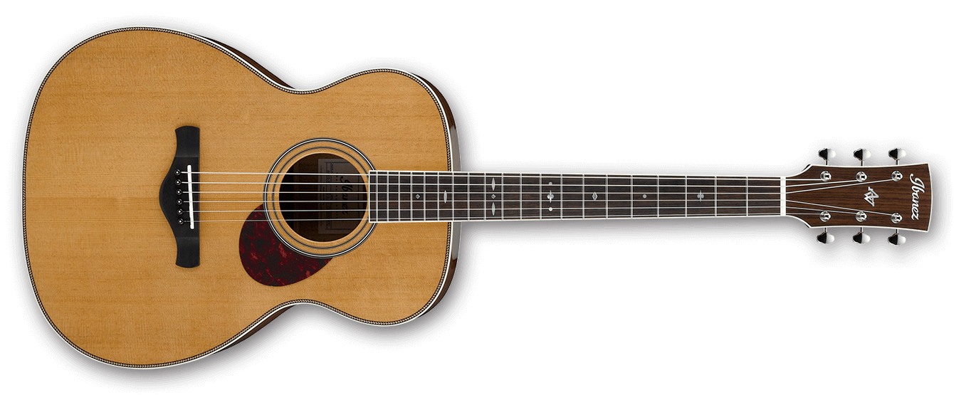 Ibanez AVM10 : AVM10 NT 1X 01