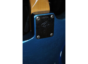 Fender Stratocaster [1965-1984] (92947)