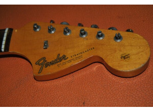 Fender Stratocaster [1965-1984] (21983)