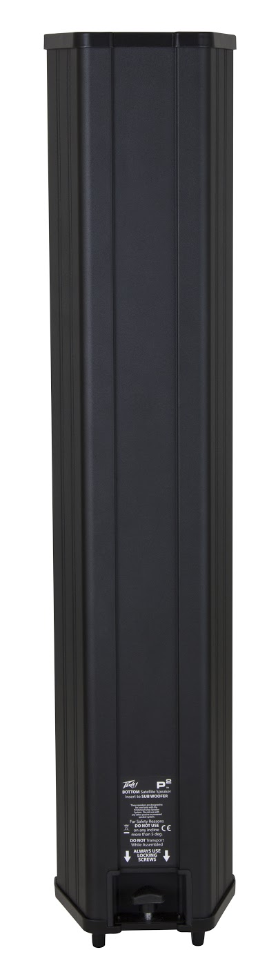 P2 Satellite Speaker Back