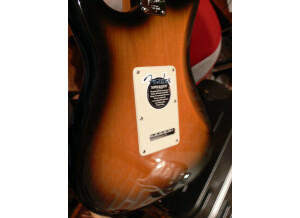 Fender American Deluxe Stratocaster V Neck [2004-2010] (30894)