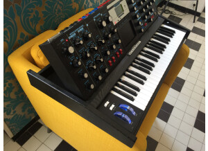 Moog Music Minimoog Voyager Performer Edition (46539)