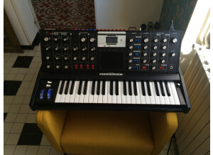 Moog Music Minimoog Voyager Performer Edition (35658)