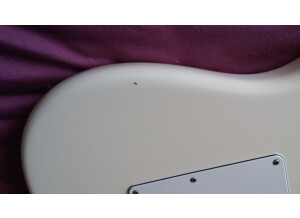 Fender Standard Stratocaster [2009-Current] (50474)