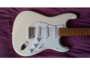 Fender Standard Stratocaster [2009-Current] (76483)