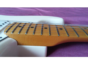 Fender Standard Stratocaster [2009-Current] (77190)