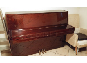 Gaveau Piano Droit (64645)