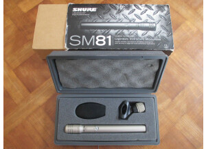 SM81
