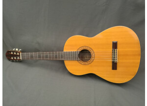 Suzuki Classical Guitar (48552)