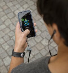 Basslet 11 Basslet 11