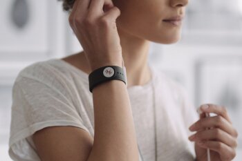 Basslet 14 Basslet 14