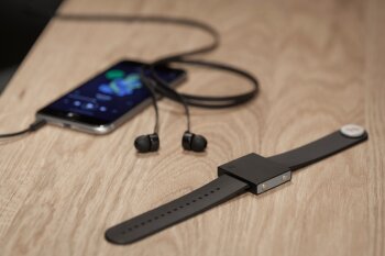 Basslet 18 Basslet 18