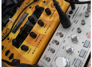 Dave Smith Instruments Mopho (64531)
