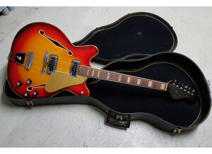 Fender Coronado 1967 (1)