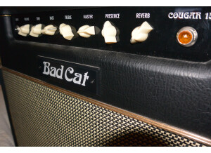 Bad Cat Cougar 15 (32943)