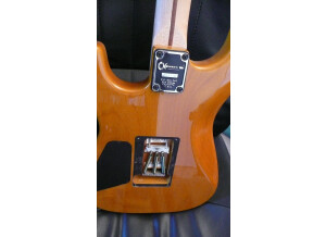 Charvel san dimas style 1 hss 1075479