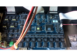 Flying Pig Systems Wholehog 2 (22705)