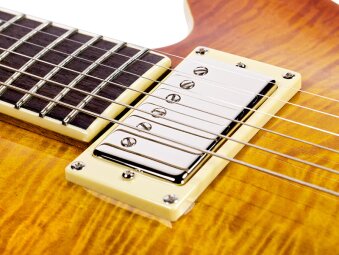 bluesbird burst detail 3 bluesbird burst detail 3