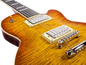 bluesbird burst detail 1 bluesbird burst detail 1