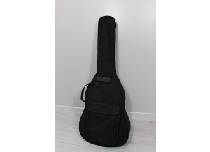 Art & Lutherie Cedar Antique Burst (97241)