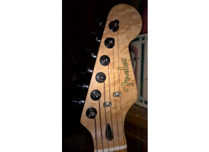 Fender Special Edition Lite Ash Stratocaster (3932)
