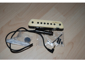 L.R. Baggs M1 Active (14721)