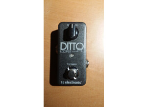 TC Electronic Ditto Looper (12248)