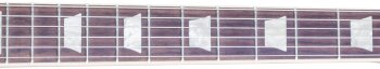 LPPTD16GTCH1 NECK SIDE LPPTD16GTCH1 NECK SIDE