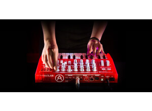 Microbrute red rear