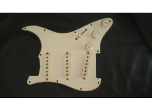 Fender Loaded Pickguard (41199)