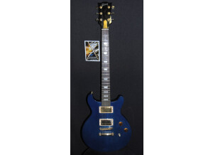 Gibson Les Paul Standard DC Lite (63396)