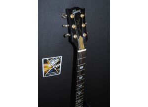Gibson Les Paul Standard DC Lite (17388)