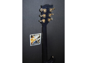 Gibson Les Paul Standard DC Lite (93937)