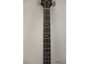 Gibson EB2 (76399)