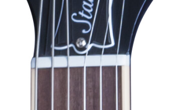 LPDC16OWCH1 FRETBOARD PANEL 03 LPDC16OWCH1 FRETBOARD PANEL 03