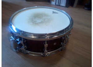 Premier Signia (60003)