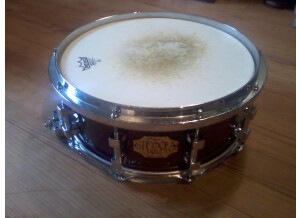 Premier Signia (21537)